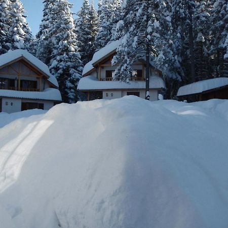 Saint George Holiday Village Borovets Buitenkant foto