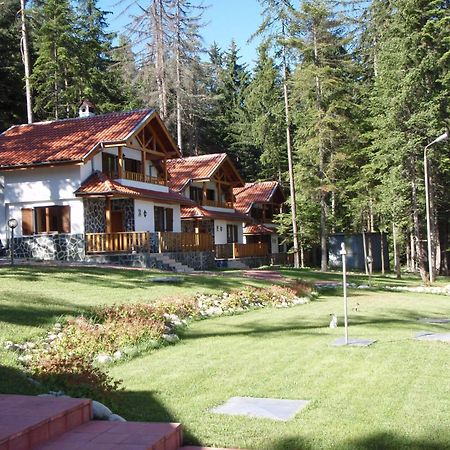 Saint George Holiday Village Borovets Buitenkant foto