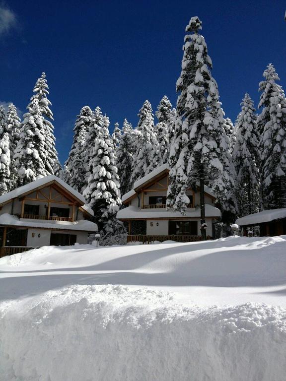 Saint George Holiday Village Borovets Buitenkant foto