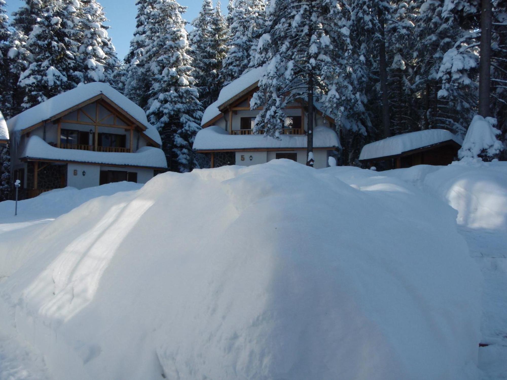 Saint George Holiday Village Borovets Buitenkant foto