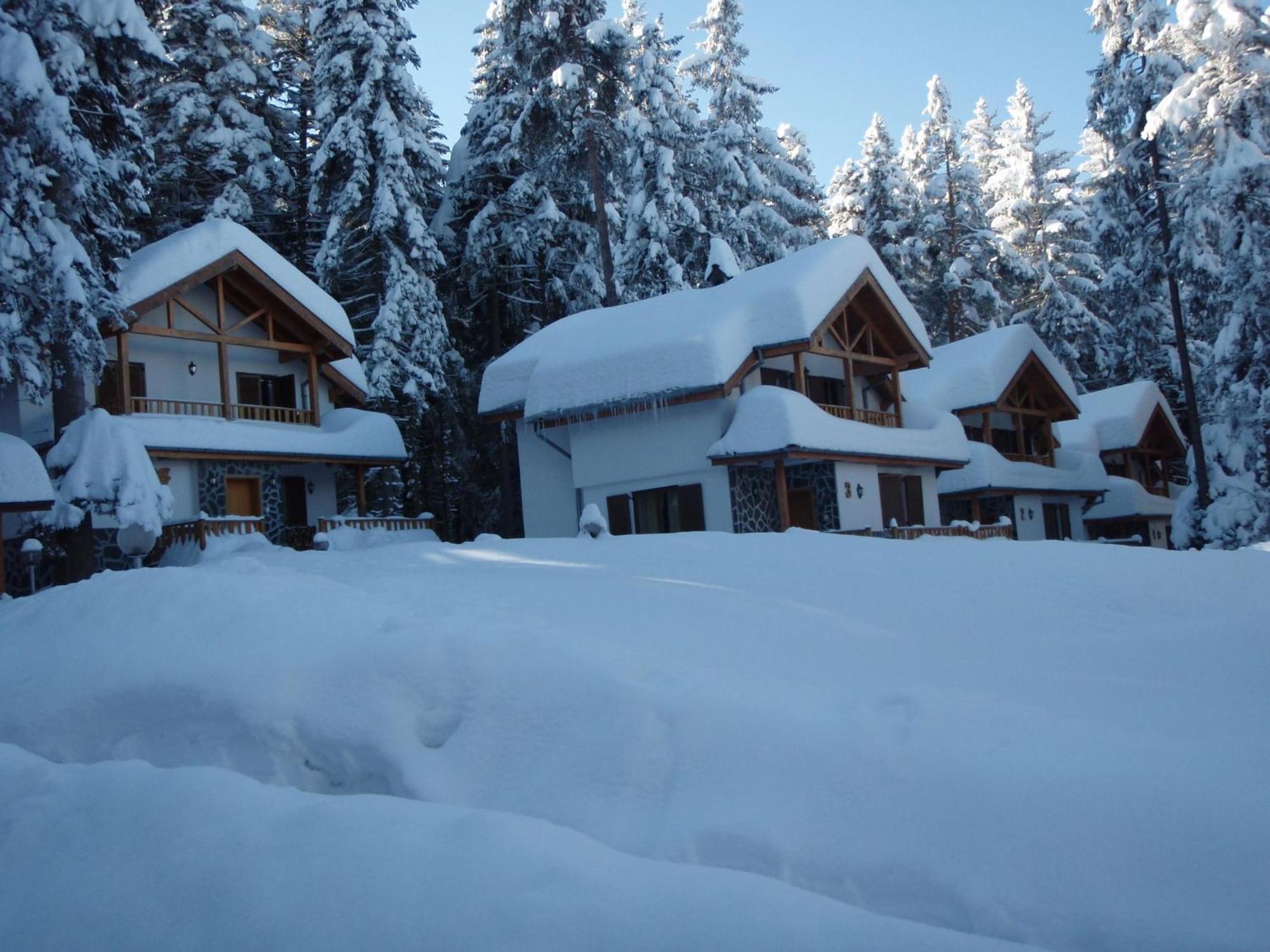 Saint George Holiday Village Borovets Buitenkant foto