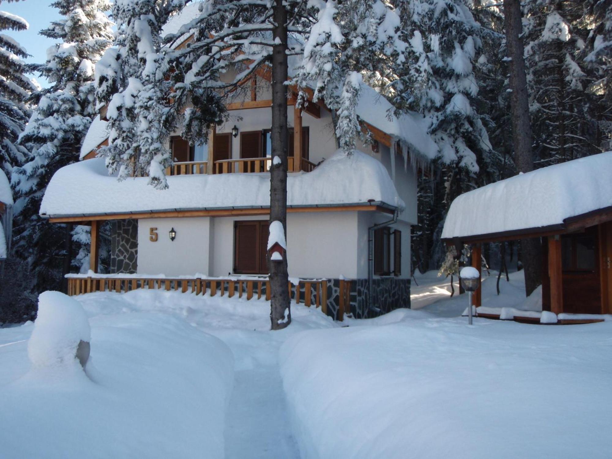 Saint George Holiday Village Borovets Buitenkant foto